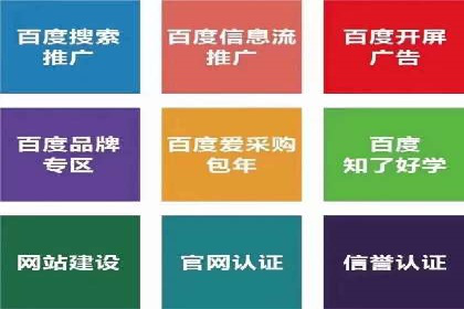 行业标杆的SEM竞价营销案例研究